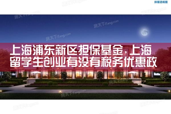 上海浦东新区担保基金