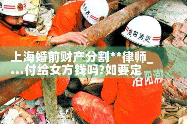 上海婚前财产分割**律师