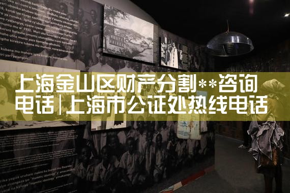 上海地区复杂财产分割律师费用标准最新