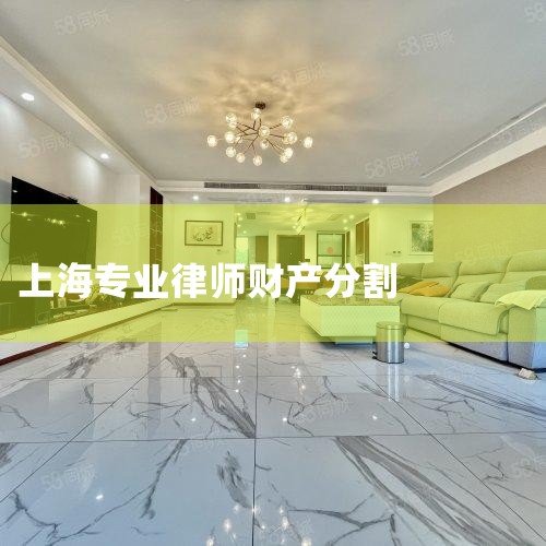 �Ϻ��л�������̲�ֵ�������·250�Ż���������(����)�Ǽ�����2¥���ǼǴ���8-11�Ŵ��� ����ʱ�� ����һ��������,����09:00��11:30,����13:30��16:30(�����ڼ��ճ���) ��ѯ.
