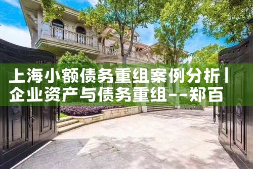 上海贷款债务重组公司名单公示时间