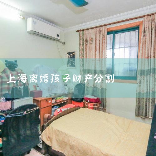 ��麢�Ӹ���Ȩ��������ʱ�����һ��ս��,һ���漰����רҵ֪ʶ�����ϼ���,�⿿�������顢һ����Ը��ԶԶ�����ġ����Ʋ��ָ�:һ,���Ʋ��ָ��׼���޹�ͬ�Ʋ��ķָ�,��ָ���ʱ���������޹�ͬ�Ʋ�����Ϊ����