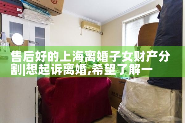 售后好的上海离婚子女财产分割
