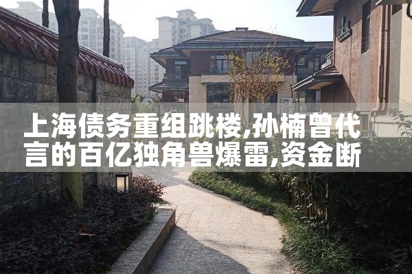 上海企业债务重组方式是什么级别
