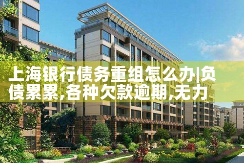 总算获得文山亮资摆账该怎么办理