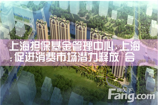 上海市中小微企业政策性担保基金