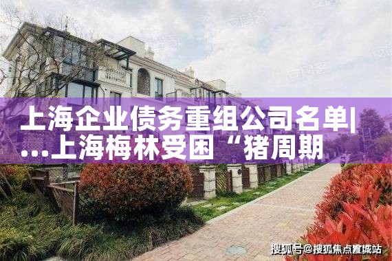非典型担保解决中小微企业融资难题