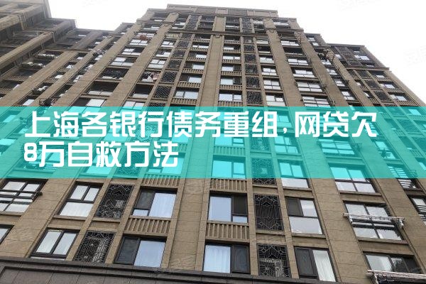 上海借款逾期债务重组有哪些方式还款的