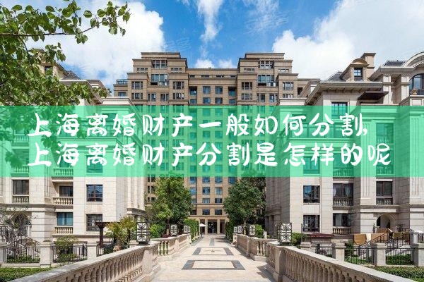 上海本地厉害的离婚财产分割律师