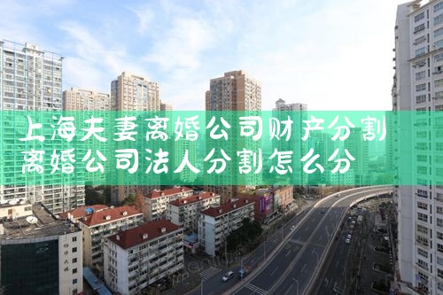 上海财产分割案最新