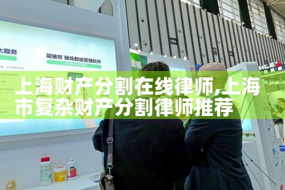 上海推荐离婚财产分割律师