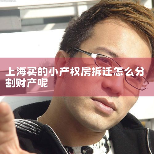 ���Ͼ���ḻ ����鰸�����漰�ĲƲ��ָ��Ů��������鷿���ָ����Ȩ�ָ���ծȨծ�������Ĵ������зḻ�ľ��顣�Ϻ������ʦ�������Ļ�����ͥ���װ������������Ϻ������ʦ�����߱��������۹���