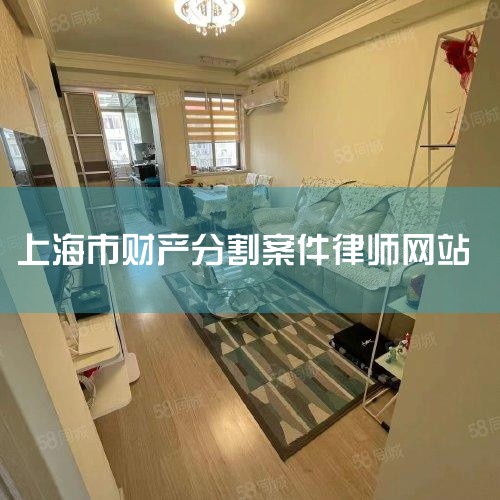 ������������飬����Ů���ĸ��˲Ʋ����ǲ��÷ָ�ģ�ֻ�����ڷ��޹�ͬ�Ʋ��Ĳ��ֲ���Ҫ���зָ���ڷ��޹�ͬ�Ʋ����У�������ϵ�����ڼ�����õĹ��ʡ��������񱨳ꣻ��������Ӫ��Ͷ�ʵ����棻֪ʶ��Ȩ�����棻