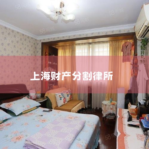 ��֮,�Ʋ��ָ���ʦ�ķ���ᴩ��ǰ����ѯ������ִ�е���������,ּ�ڰ����ͻ����ƴ����������еĲƲ���������,��󻯵ر��Ͽͻ��ľ���Ȩ�档