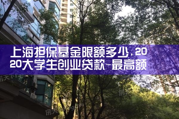 上海担保基金限额多少