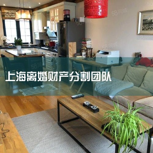 һ��Э������������֤���������·ָ�Ʋ���1�����ԣ����Ʋ���Ч�����������ꡣ���ʱ��һ�����ء�ת�ơ�������������޹�ͬ�Ʋ�����α��ծ����ͼ��ռ��һ���Ʋ��ģ��ָ���޹�ͬ�Ʋ�ʱ�������ء�ת�ơ���������