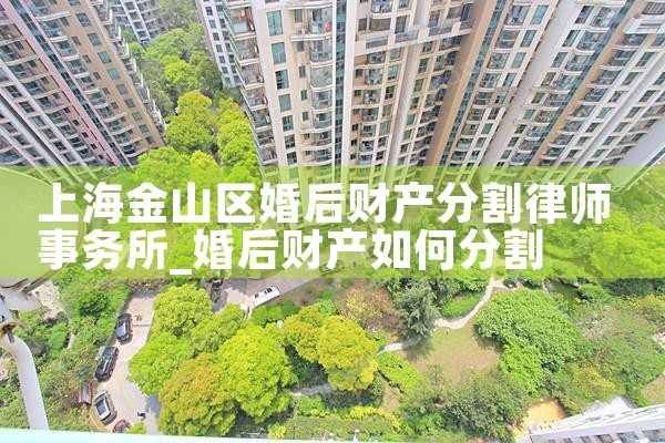 上海离婚财产分割子女抚养权案例