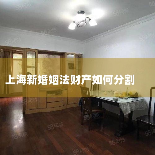 ���ڽ�Ŀ��,���з�Ժ��ŷ�ͥ��ͥ����ƽ���ٺ��Ϻ������ʦ��������ѩƽ��ʦ,��ԡ��񷨵䡷�й�������һЩ�ȵ�����չ�����,����������̸��,��������⳥����,��...