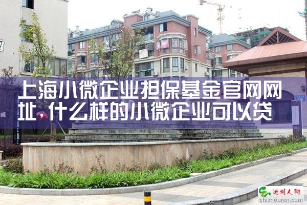 上海小微企业担保基金官网网址