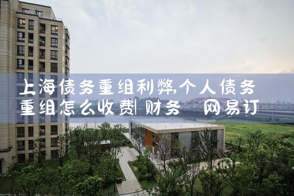 上海个人债务重组方式有哪些种类的
