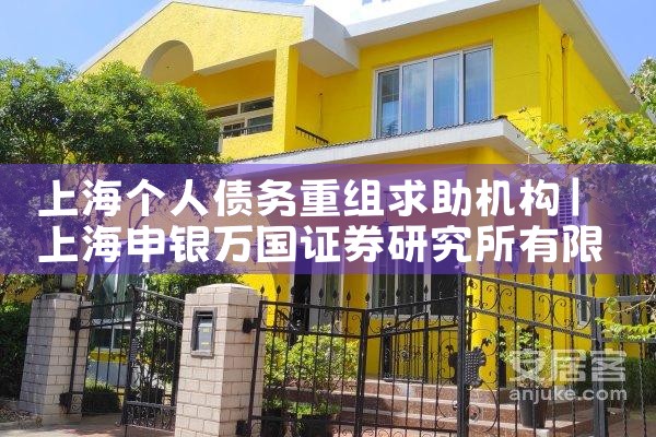 上海债务重组原则