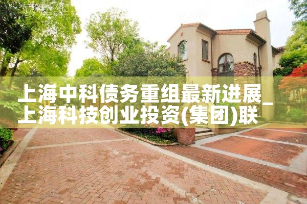 上海中科债务重组最新进展