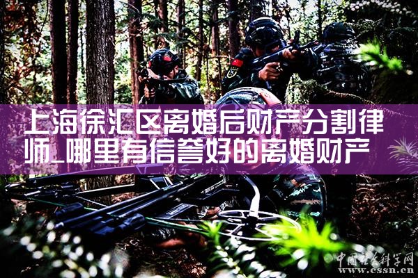 上海财产分割再审案例