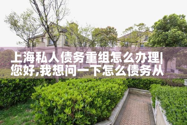 武汉信用卡债务重组延期还款政策文件最新