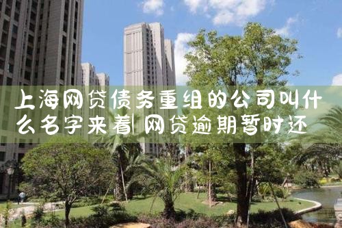 上海借款债务重组怎么办理