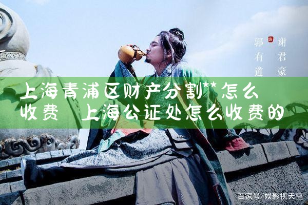 有口皆碑的上海财产分割
