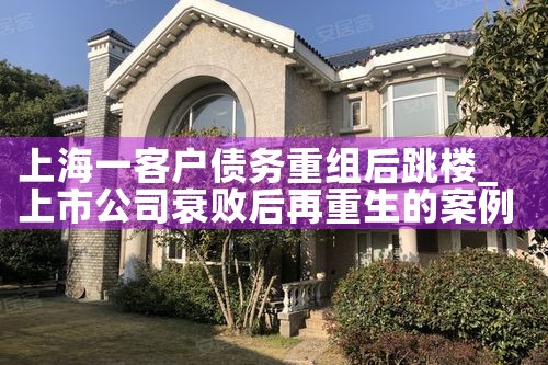 上海平台债务优化重组