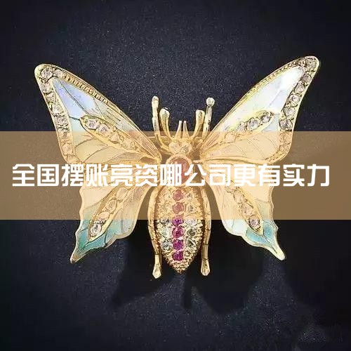 �ǹ���ʮ�����ʵ����������޹�˾������1998�꣬ע���ʱ�Ϊ1.5��Ԫ����ң���Ҫҵ��ΪΪ��С΢��ҵ�ṩ���ʵ������������䵱�����ޡ���Ȩ���׵Ƚ��ڷ��񣬸ù�˾��ʮ���й���ίԱ����ʰ졢ʮ���й������С�