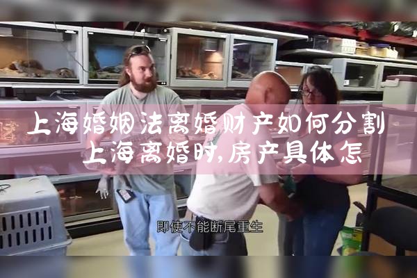 上海闵行区离婚财产分割律师