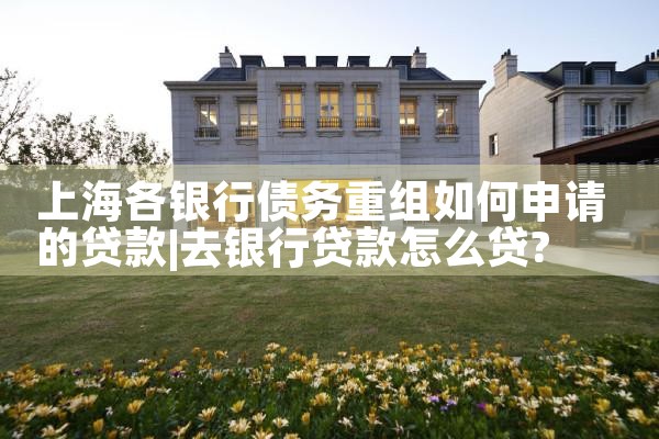 信用贷款债务重组是什么意思呀