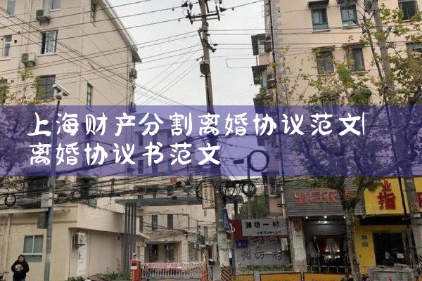 上海财产分割**公司