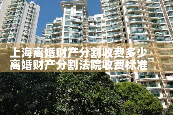 上海细致的离婚财产分割哪里找