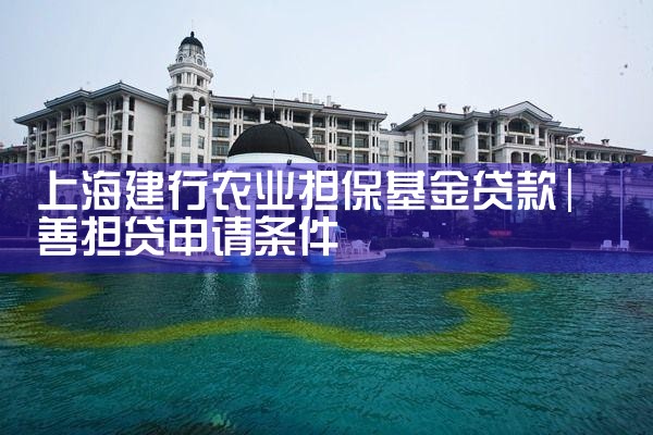 上海建行农业担保基金贷款