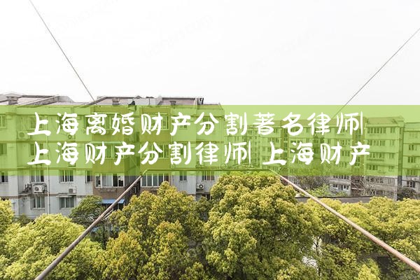上海分割财产律师费多少