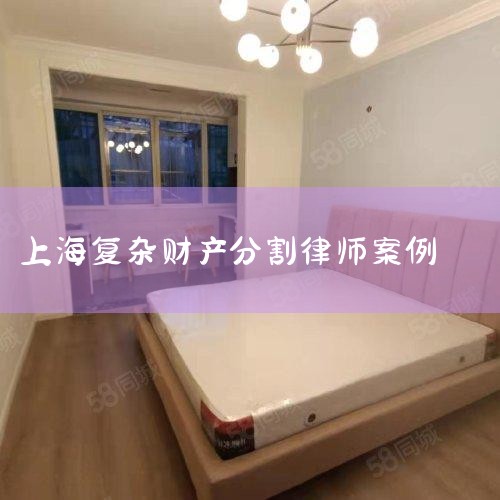 �Ƽ����Ϻ���Ѱ��Ʋ��ָ�����ʦ�����Ƽ���������ʦ������ʦ�����Ǿ��зḻ�ľ����רҵ֪ʶ���ڲƲ��ָ������������õ���������ϸ���ͣ����Ϻ��У��Ʋ��ָ�ͨ���漰���ӵķ��ɳ��������������ˣ�ѡ��һ����