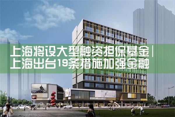 上海中小微企业政策性融资担保基金网址