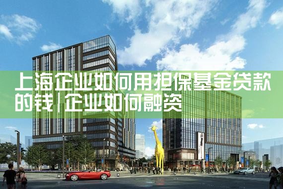 上海企业如何用担保基金贷款的钱