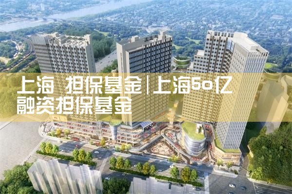 上海中小微贷款担保基金利息