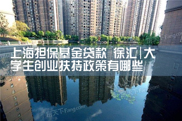 上海担保基金定制业务怎么样啊