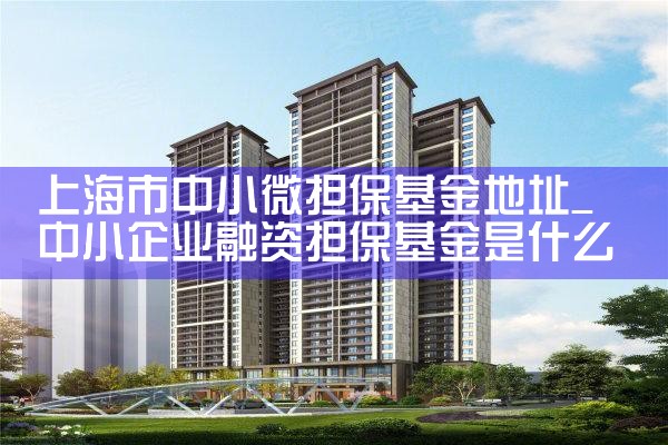 上海担保基金定制业务有哪些公司