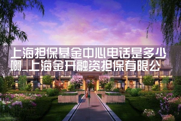 上海市创业担保基金创业贷