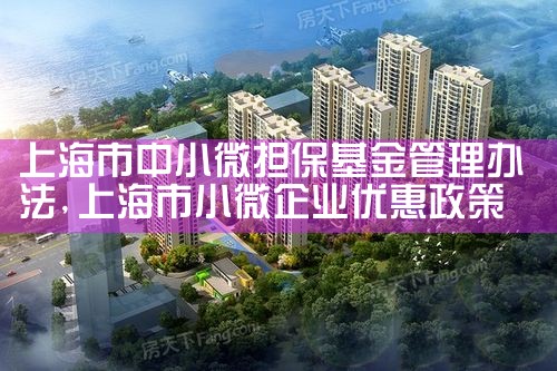 上海担保基金全称叫什么来着