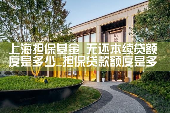 上海市担保基金贷