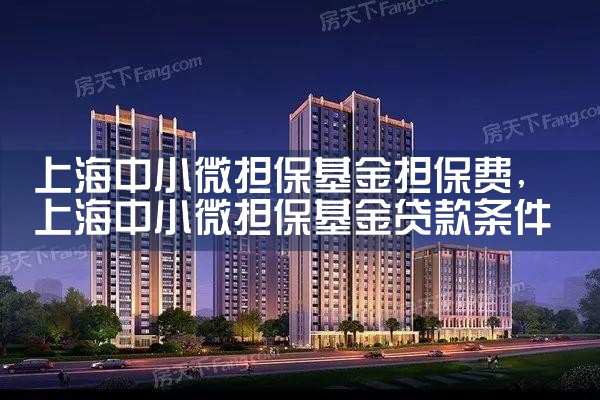 上海50亿贷款担保基金怎么样啊多少钱