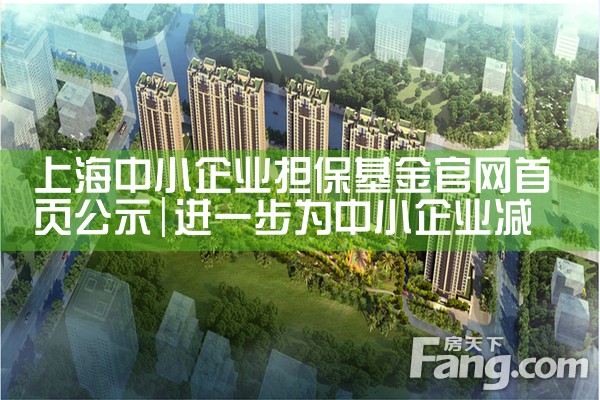 上海担保基金贷款 批量还款什么意思啊