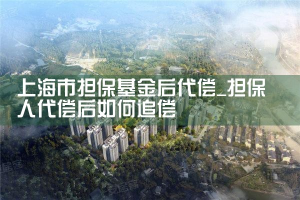 上海市担保基金后代偿